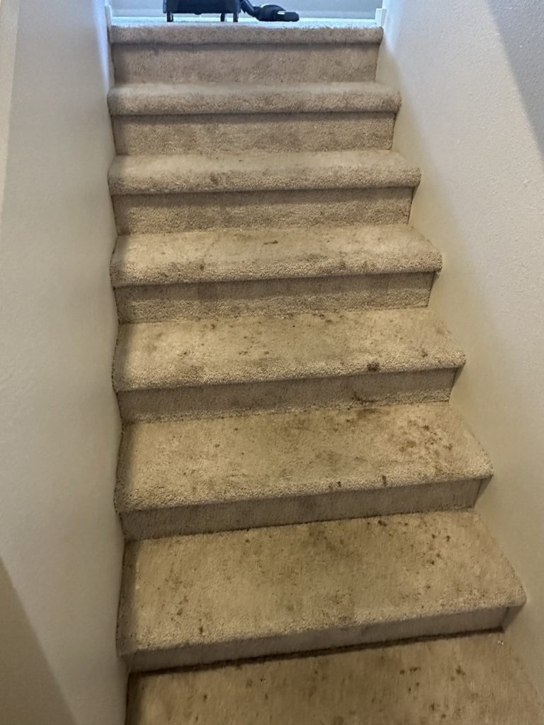 Project before
