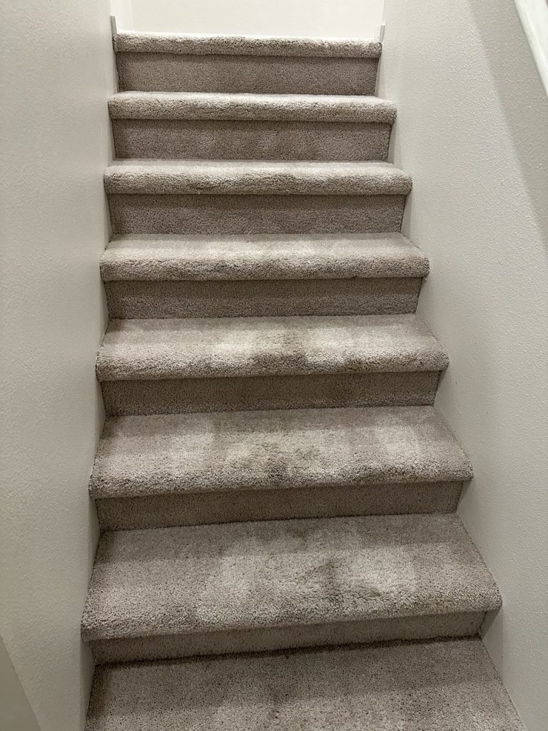 Project after